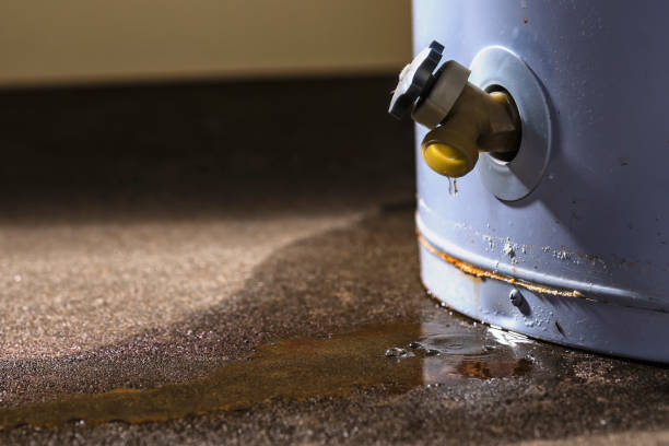 Best Fire Damage Restoration  in Lake Nacimiento, CA