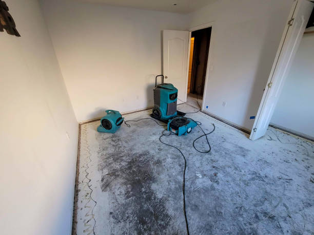 Best Water damage restoration cost  in Lake Nacimiento, CA