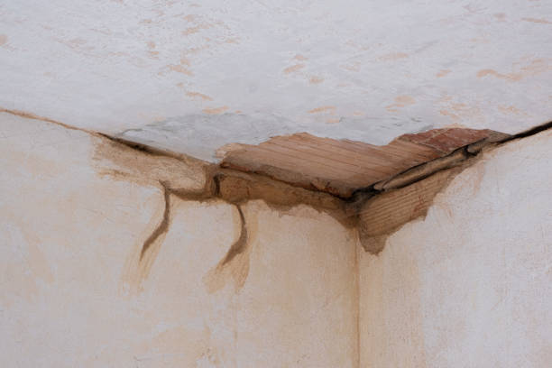 Best Flood damage cleanup  in Lake Nacimiento, CA