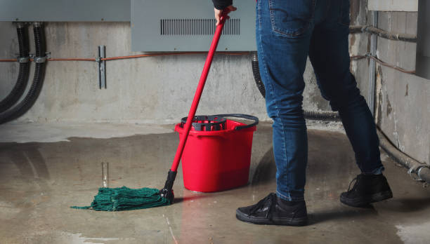 Best Mold removal after water damage  in Lake Nacimiento, CA