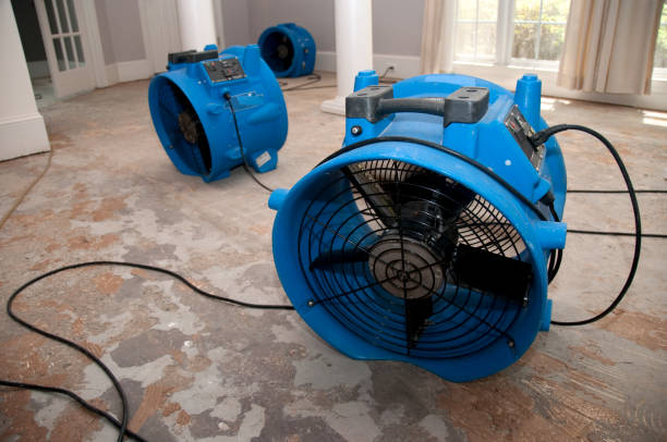Best 24-hour water damage restoration  in Lake Nacimiento, CA