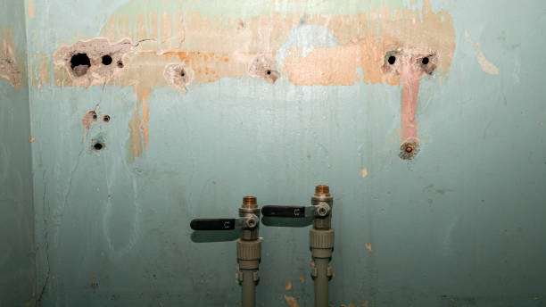 Best Commercial water damage restoration  in Lake Nacimiento, CA