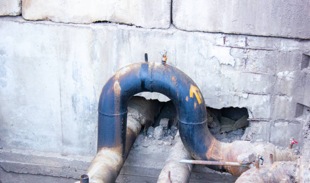 Best Water damage restoration near me  in Lake Nacimiento, CA