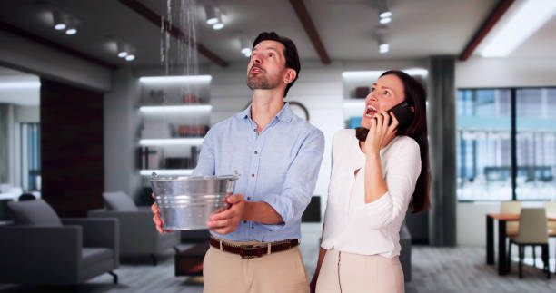 Best Flood damage cleanup  in Lake Nacimiento, CA