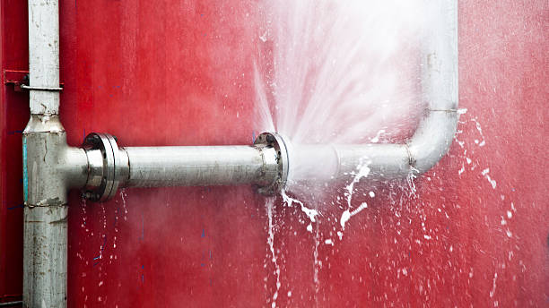 Best Carpet water damage restoration  in Lake Nacimiento, CA