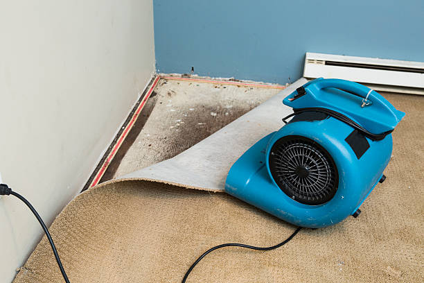  Lake Nacimiento, CA Water damage restoration Pros
